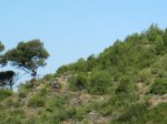 IMG_2254.JPG