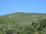 IMG_2273.JPG