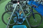 trimtblowcostmini.jpg