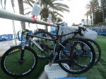 trimtblowcostmini2.jpg