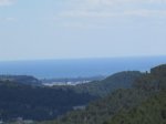 IMG_2295.JPG