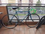 20130609_113431.jpg