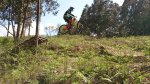 berango.jpg