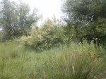 CAM00470.jpg