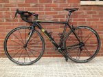 resized_Bici.jpg