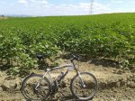 2013-06-09 12.29.29.jpg