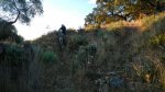 DSCN0015.jpg