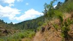 DSCN0157.jpg