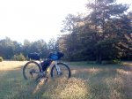 bici.jpg