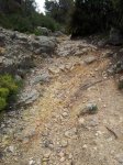 20130609_124902.jpg