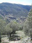IMG_2542.JPG