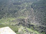 IMG_2555.JPG