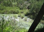 IMG_2579.JPG