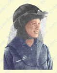 helmetbug.gif