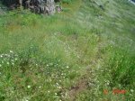 DSC05947.JPG