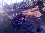 06052007124 para el foro.jpg