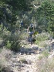 IMG_2594.JPG