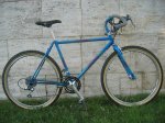 1991 Steve Potts Limited Edition.jpg