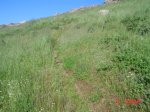 DSC05952.JPG