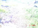 DSC05973.JPG