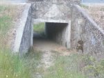 tunel.jpg
