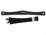 polar t34.jpg