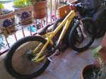WP_000638.jpg