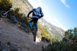 whip a tope.jpg