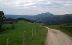 DSC_0110.JPG