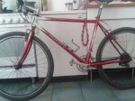 bici 3.jpg
