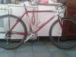 bici 1.jpg