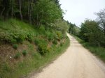 P1030815 (FILEminimizer).JPG