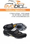 evo bici2.jpg