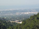 IMG_2305.JPG