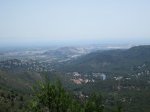 IMG_2343.JPG