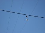IMG_2358.JPG