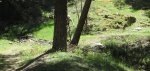 IMG_0359.jpg