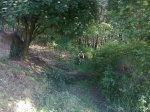 foto0084.jpg