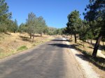 PEDRIZA 003.jpg