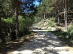 PEDRIZA 017.jpg