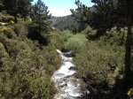 PEDRIZA 047.jpg