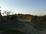 20130616_072600.jpg