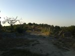 20130616_072606.jpg