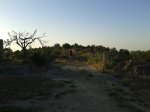 20130616_072724.jpg