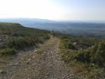 20130616_081338.jpg