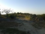 20130616_072551.jpg