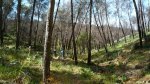 P1110617.jpg