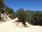 PEDRIZA%20031.jpg