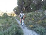 SAM_2011a.JPG