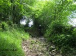 IMG_4446 (Copiar).JPG